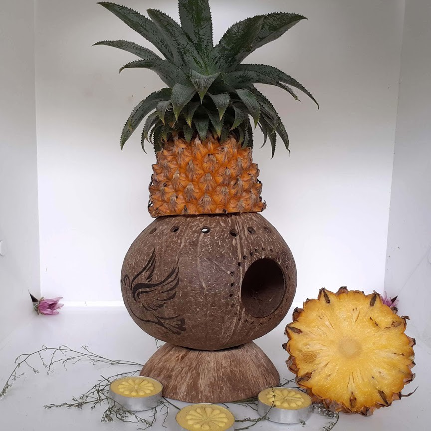 Đèn xông hương tinh dầu, trái cây tự nhiên giá xưởng tốt | CocoDecor