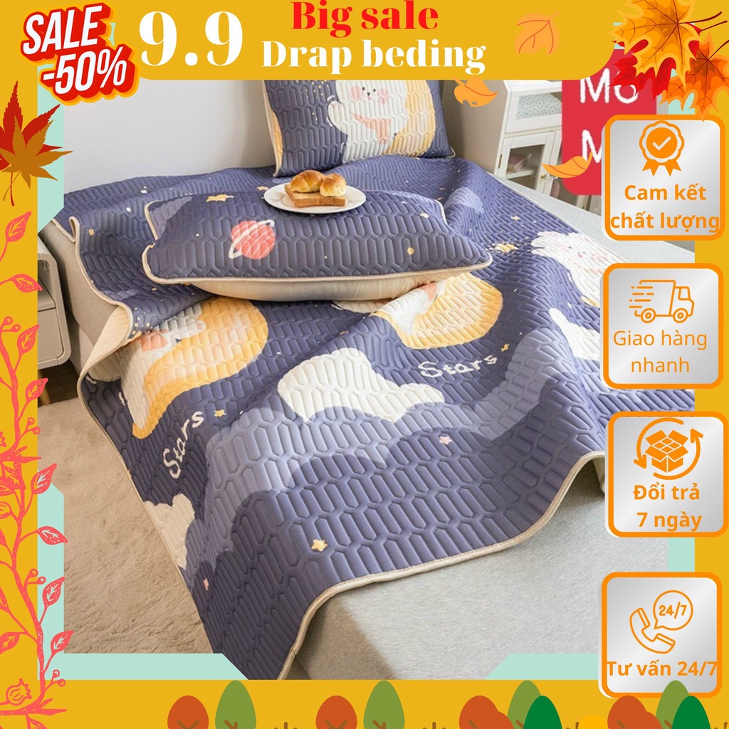 Chiếu điều hòa cao su non gồm ga trải giường và 2 áo gối kích thước 1m6 1m8-Drap beding-Mẫu3