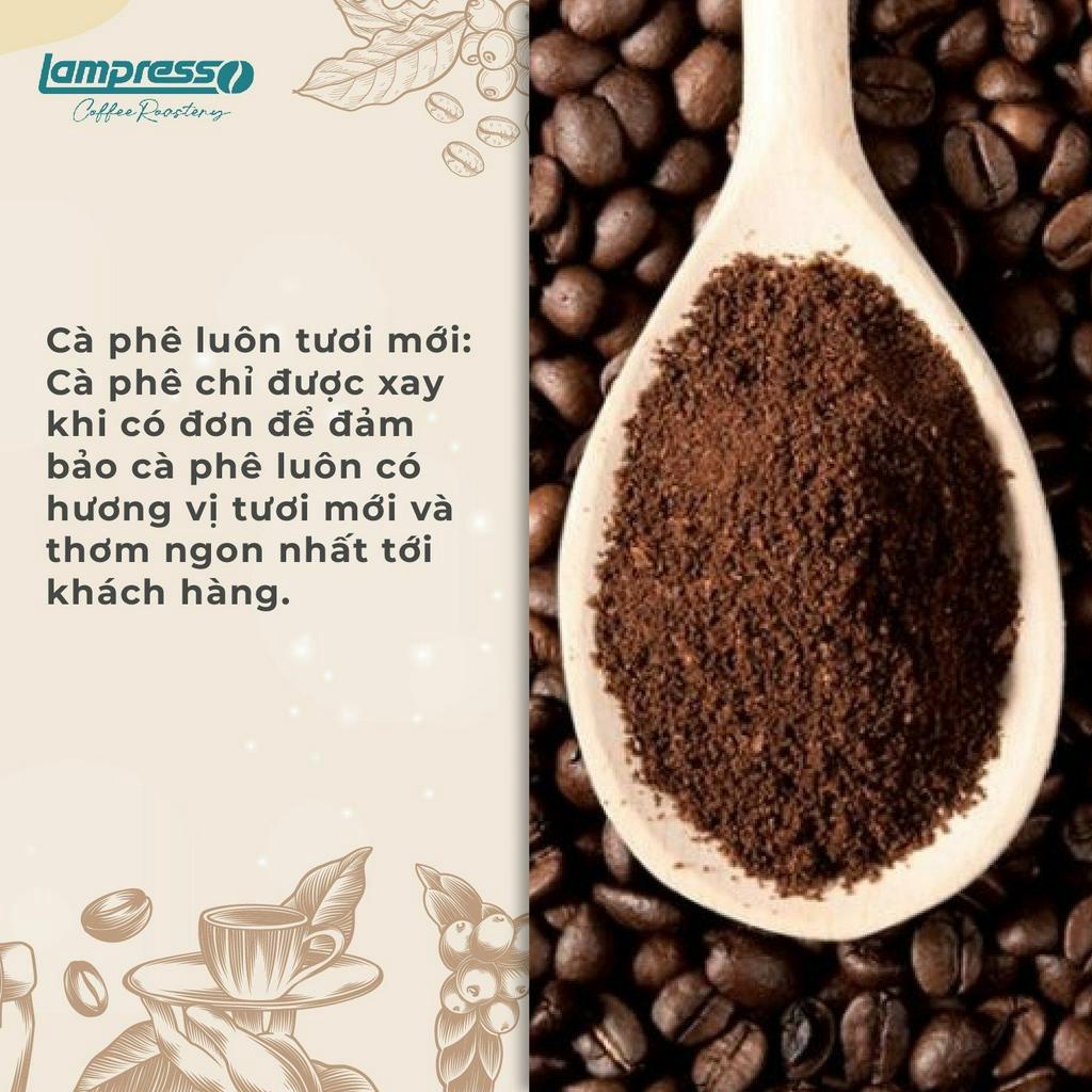 Cà phê Robusta Bảo Lộc túi 500gr đậm đà, đắng dịu - Lampresso Coffee
