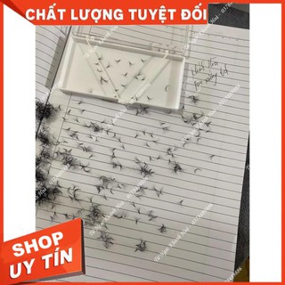 Mi fan 3D, Mi volume 3D độ cong D