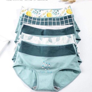 CHIP COTTON CO DAN 4 CHIỀU ÔM FORM GEN BỤNG sẵn sll