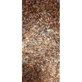 250 gram hạt bằng lăng tím giống