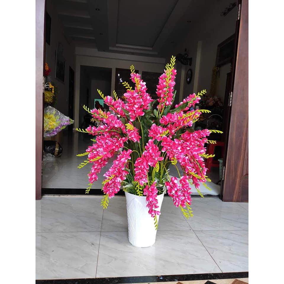 COMBO 30 CÀNH ĐỖ QUYÊN 225K