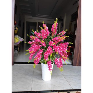 COMBO 30 CÀNH ĐỖ QUYÊN 225K