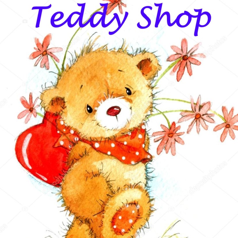 Teddy Store