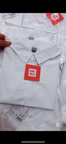 Áo sơmi unii nhiều màu (bao đẹp)