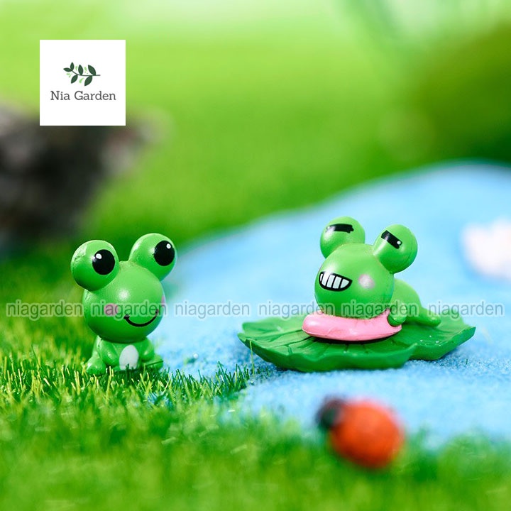 Tiểu cảnh ếch xanh trang trí terrarium chậu cây cảnh hồ cá bàn làm việc Nia Garden N5