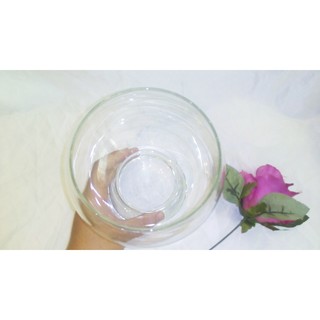LY THỦY TINH CHƠI CÂY THỦY SINH