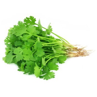 Hạt giống Rau mùi ta