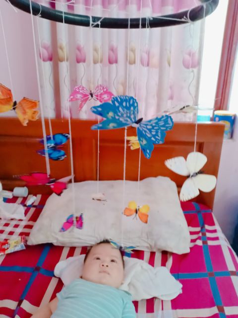 Bộ treo nôi bướm chuyển động montessori