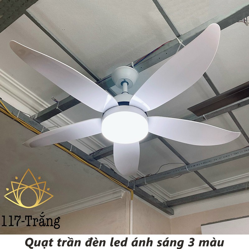 Quạt trần đèn 5 cánh điều khiển từ xa lắp đặt dễ dàng 6 cấp độ gió có chức năng đảo chiều kết hợp đèn LED 3 màu hiện đại