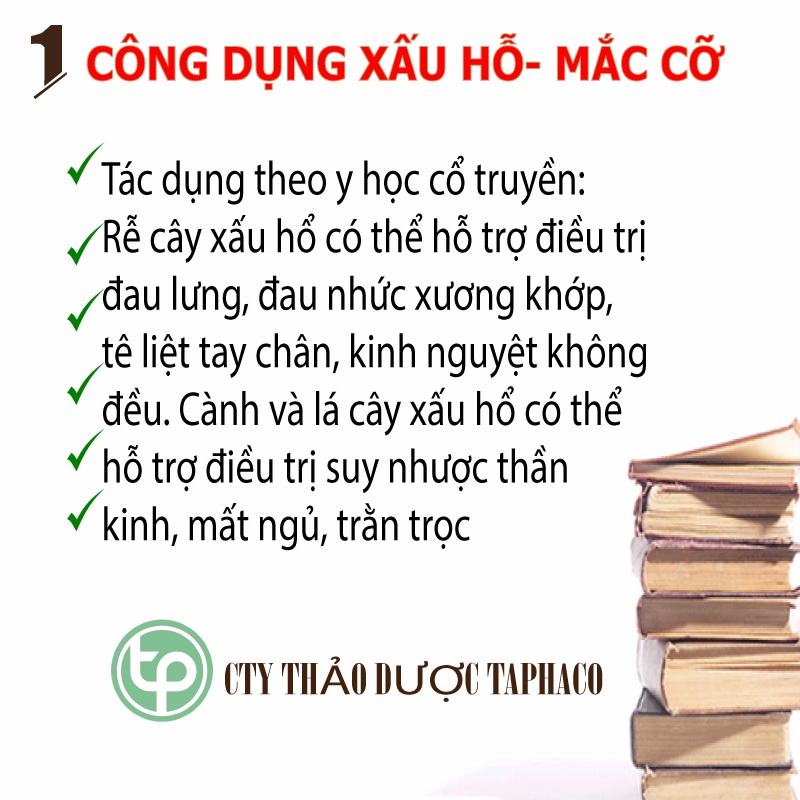 [Hàng Công Ty] Cây mắc cỡ ( xấu hổ ) khô