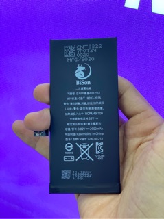 PIN IPBISON