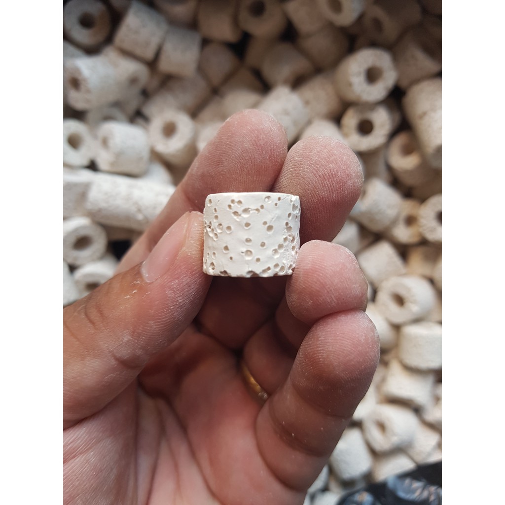 Sứ Lọc Trắng - Sứ Lọc Nước Bể Cá Cảnh