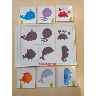 HỌC LIỆU: Set matiching tìm bóng 3 Sinh vật Biển