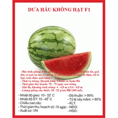 Hạt giống dưa hấu không hạt F1 CT496 - Gói 10 hạt