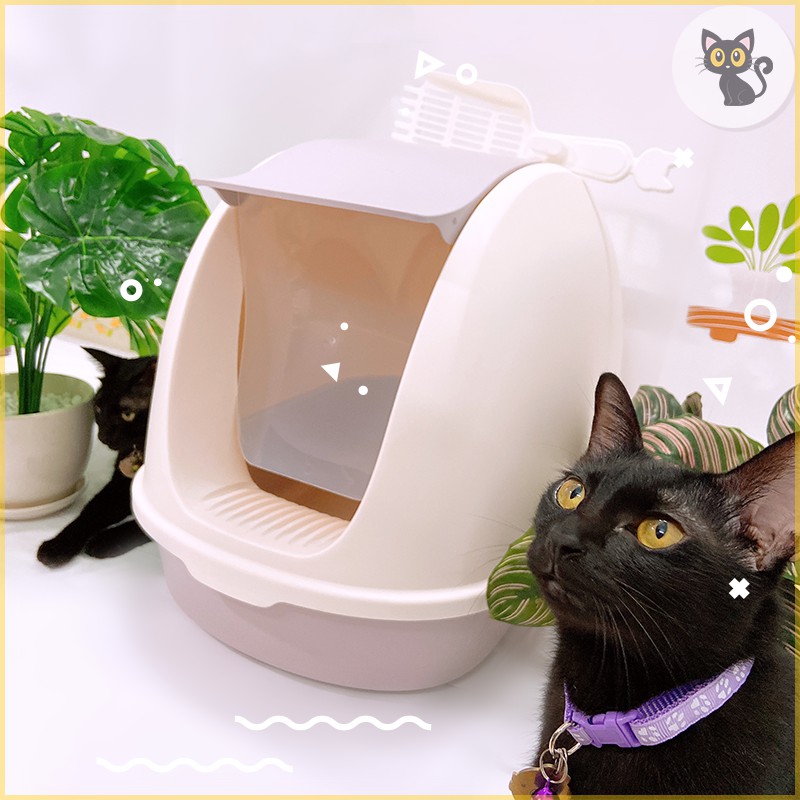 Nhà vệ sinh cho mèo hình vỏ sò
