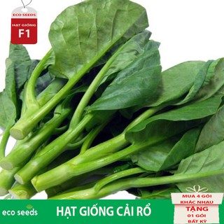 HẠT GIỐNG RAU CẢI RỔ R17 Eco seeds KLT 20g