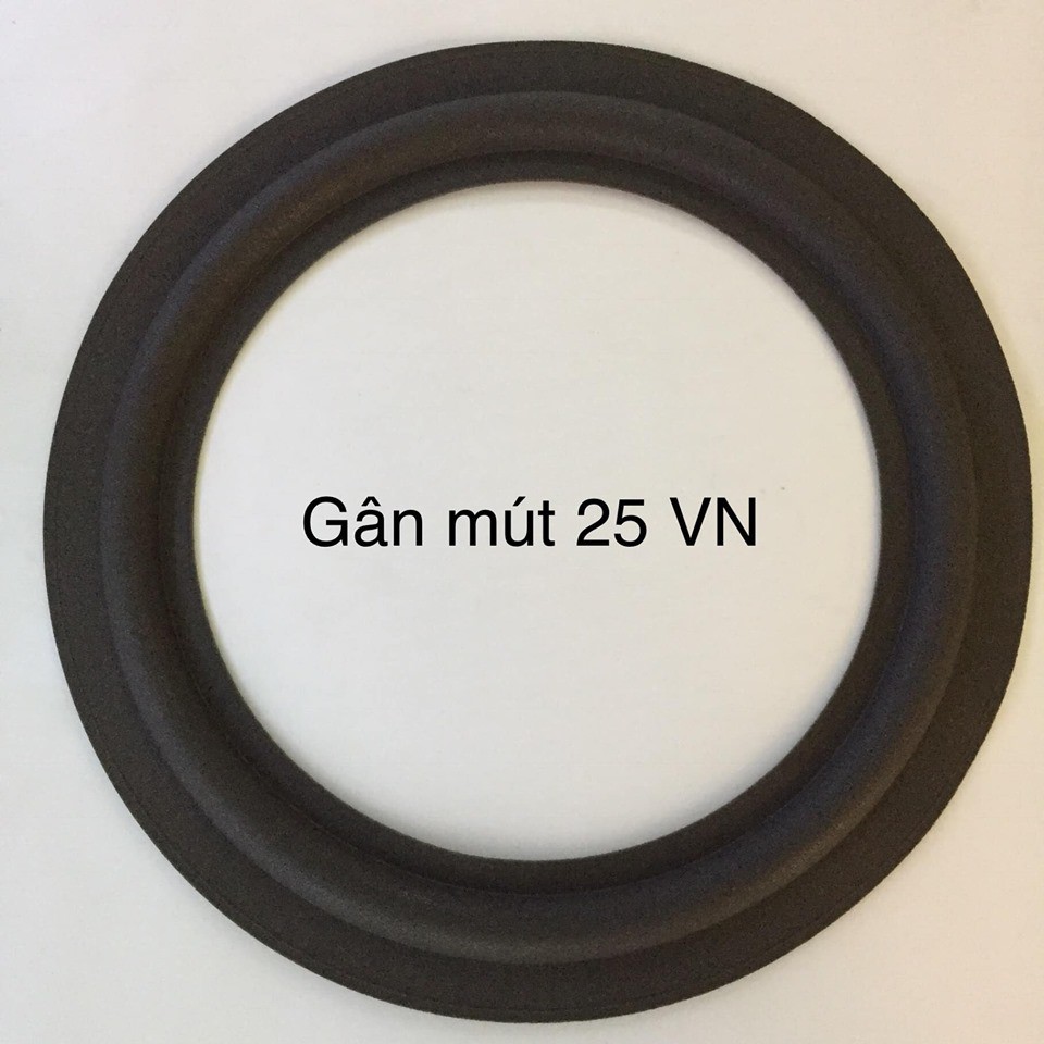 Gân loa bass 25 cm việt nam .