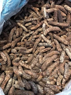 CHUỐI HỘT RỪNG NGỌC LINH