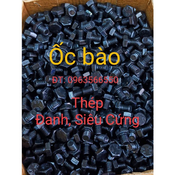 5 con ốc xiết lưỡi bào bàn