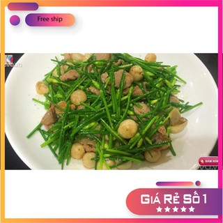 Hạt giống Hẹ Ăn Bông (1g)