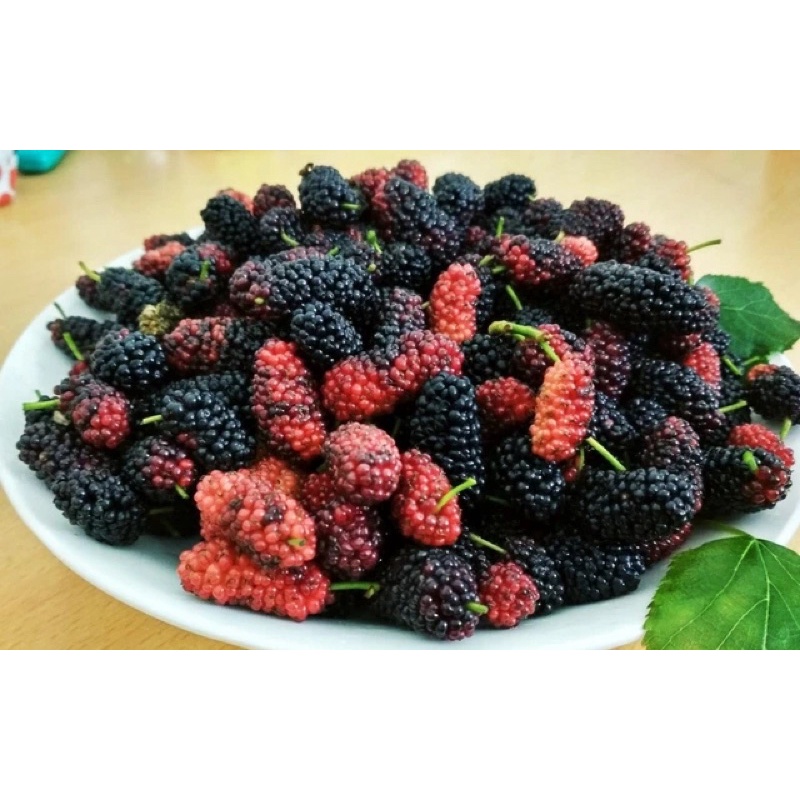 Dâu Tằm Sấy lạnh