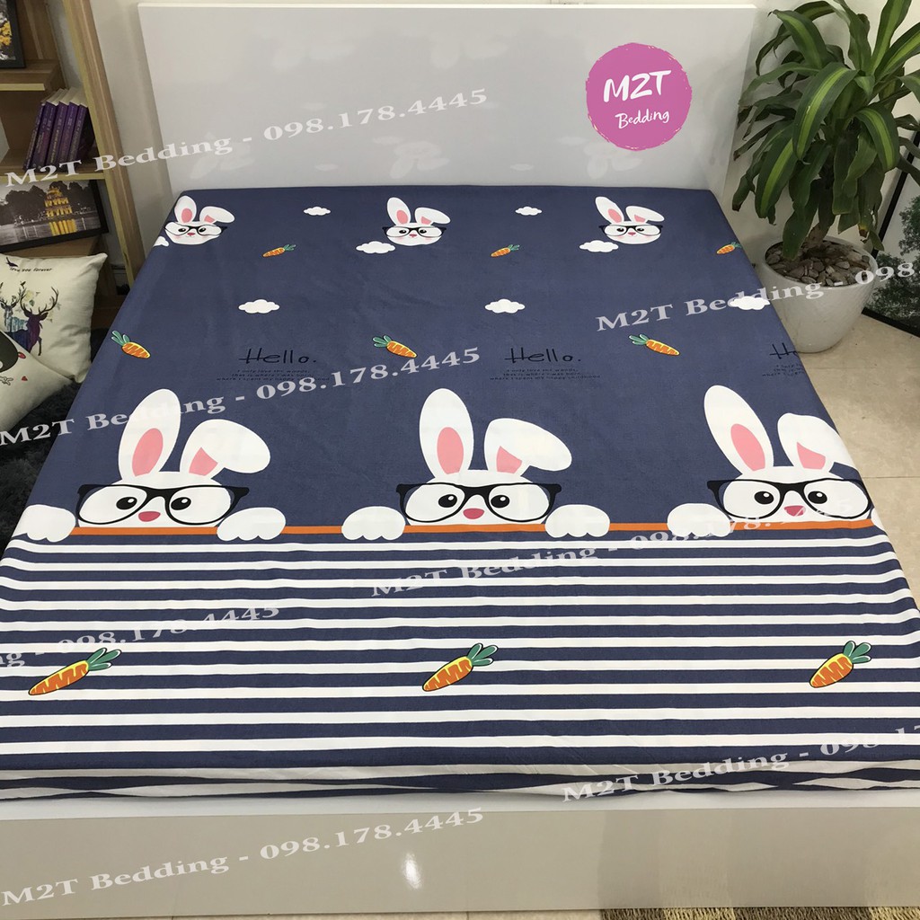 Ga chống thấm Cotton M2T bedding ga chống thấm thun Nano kháng khuẩn không nóng bí sột soạt