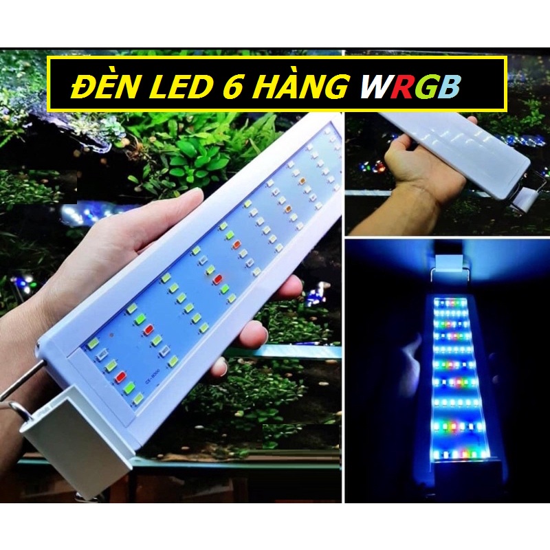 Đèn led siêu sáng WRGB 6 hàng led  - đèn cho bể thủy sinh - hồ cá cảnh - phụ kiện cá cảnh - shopleo