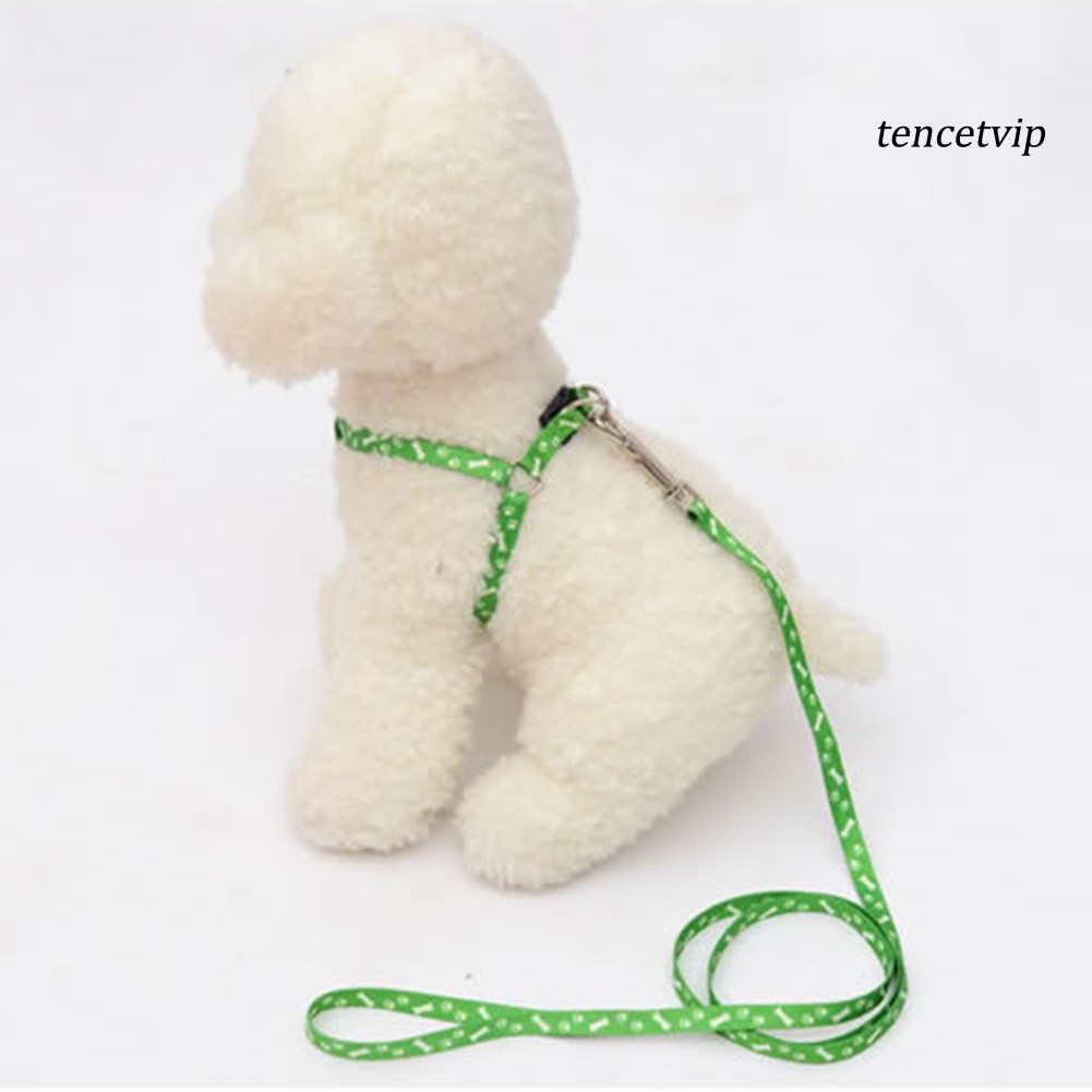 Dây Dắt Thú Cưng Đi Dạo Có Nhiều Màu Sắc Tiện Dụng 120cm