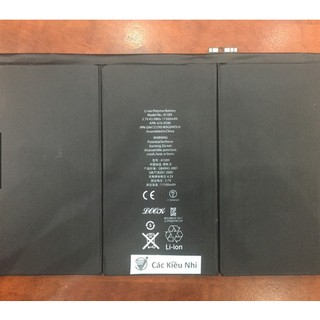 PIN IPAD 4