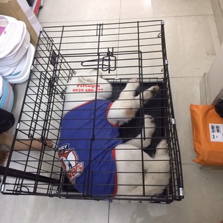 LỒNG CHUỒNG CHÓ MÈO