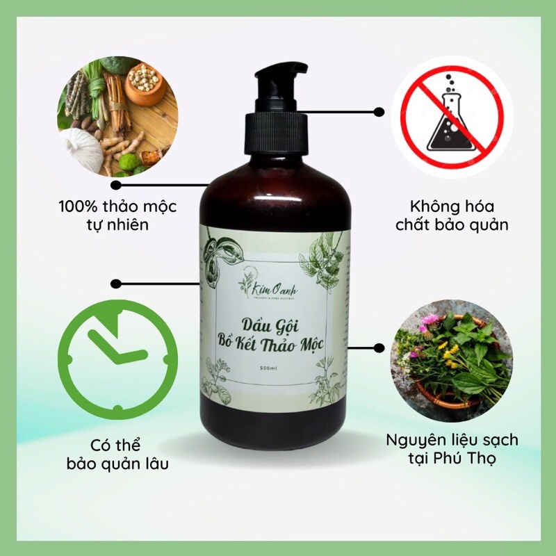 DẦU GỘI BỒ KẾT (500ml) DẦU GỘI THẢO MỘC 100% THIÊN NHIÊN - ĐÁNH BAY GÀU, NGỨA, GIÚP TÓC CHẮC KHOẺ, GIẢM GÃY RỤNG | BigBuy360 - bigbuy360.vn