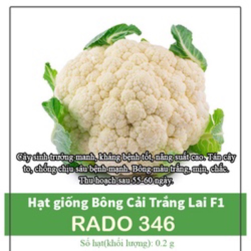 Hạt Giống Bông Cải Trắng Lai 346