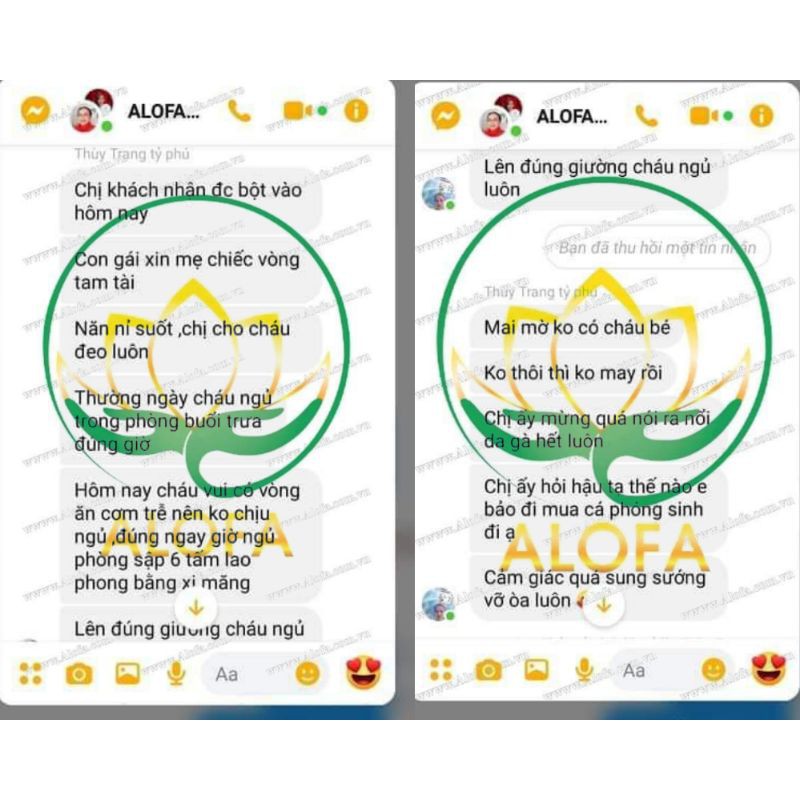 [HÀNG CHÍNH HÃNG] BỘT PHONG THỦY ALOFA THU HÚT TÀI LỘC | BigBuy360 - bigbuy360.vn