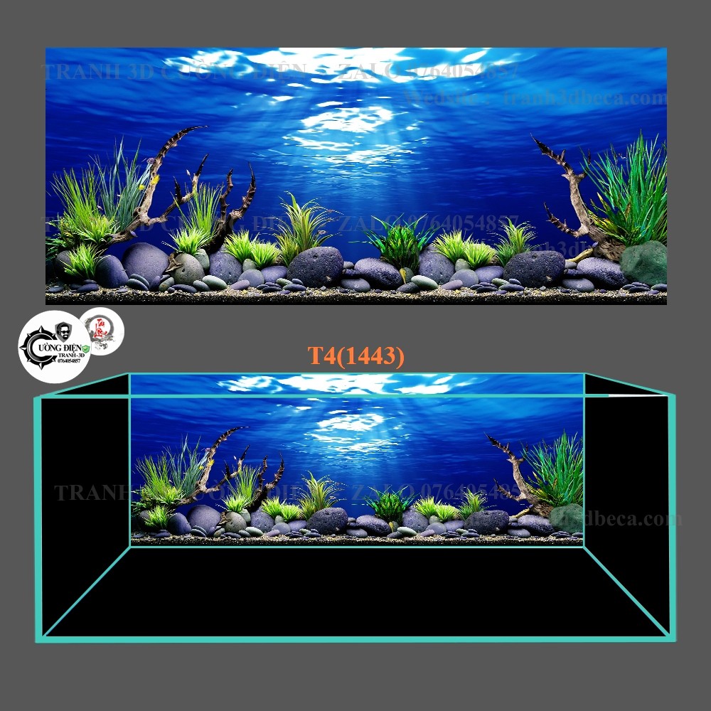 Tranh 3d dán bể cá trang trí bể cá nhiều kích thướt chọn lựa