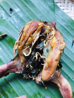 Lá Sọ chó còn gọi là Sẻn gai 20g