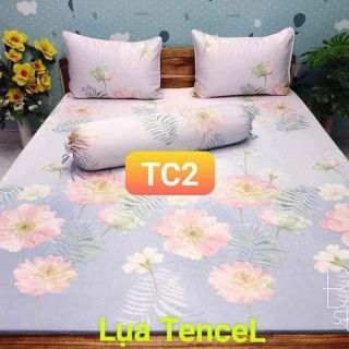 Bộ ga nệm khách đặt