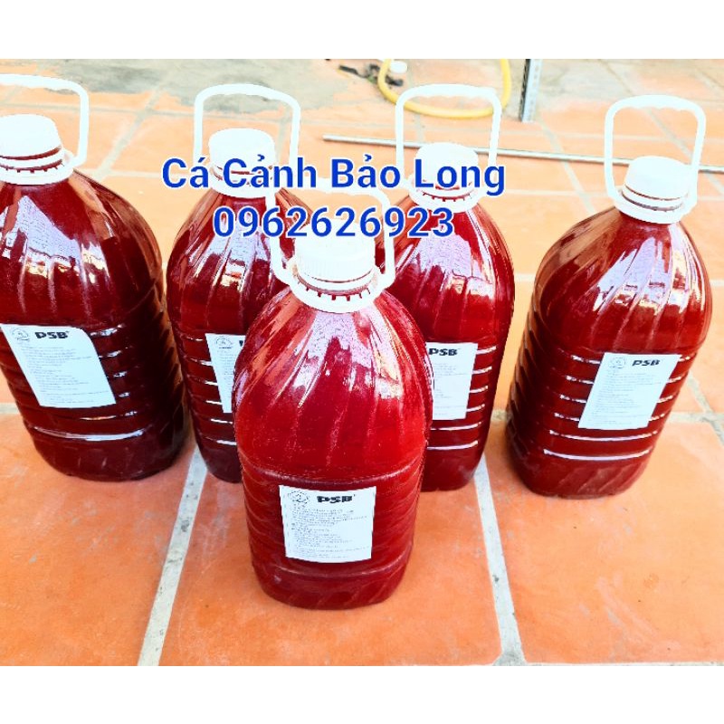 Vi sinh, men vi sinh bể cá, bể koi, hồ kính giúp là trong nước can 5l