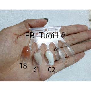 Gel Tip Đắp Móng (60ml) (mau 31)