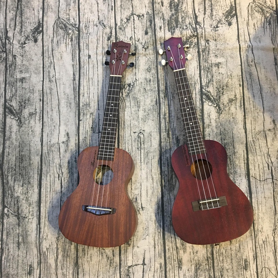 Đàn Ukulele gỗ mahogany Size concert ( Tặng kèm 2 phím gẩy phiếu bảo hành 12 tháng)