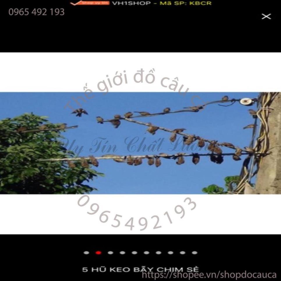 Keo bẫy chim ( rẻ vô địch )-chuyencacloailuoichim