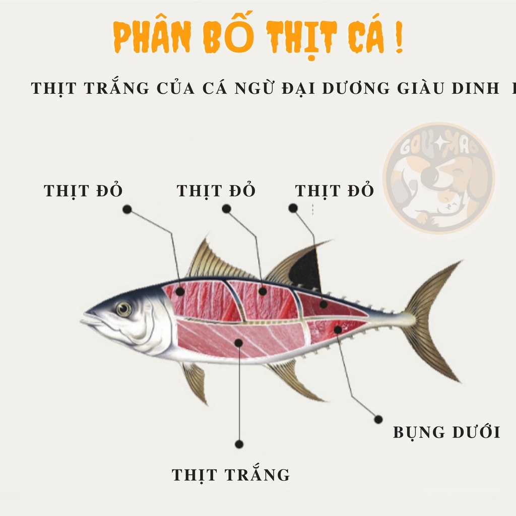 THỨC ĂN, PATE ĐÓNG HỘP CHO MÈO MIAOSHUANG  6 VỊ 170G