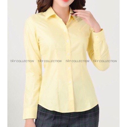 Sơ Mi Công Sở Nữ Cao Cấp TÂY COLLECTION, Vải Nhập, May Kĩ, Chiết Eo Mặc Ôm Tôn Dáng