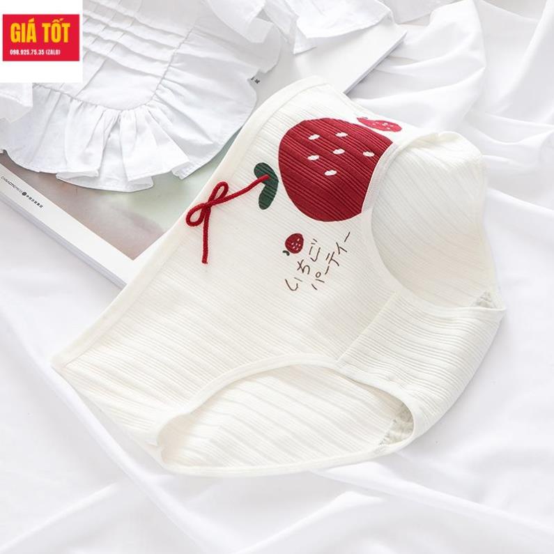 Quần chip cotton cho be gái 20kg 30kg 40kg  ☑️ quần lót trẻ em nữ   ☑️ Thời trang cho bé gái 13 tuổi