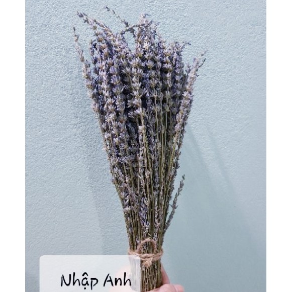 Bó hoa Oải Hương - Lavender khô 100g
