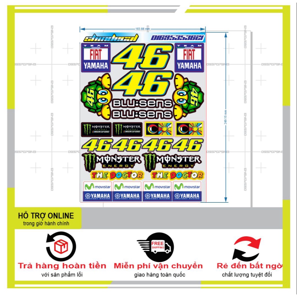 LOGO STICKER CON RÙA 08 - SHINDECAL2