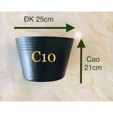 Chậu nhựa đen C10  trồng cây, trồng hoa kiểng