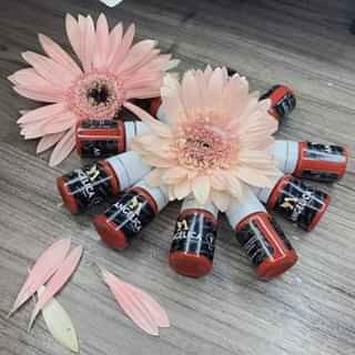 MỰC ANGELICA