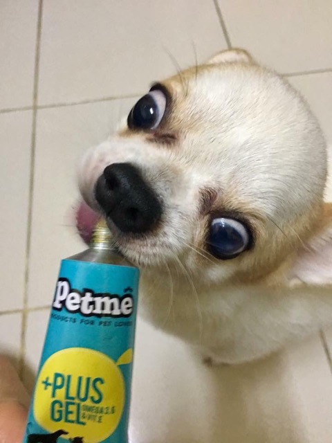 🐶🐱Gel dinh dưỡng Petme Plus Gel dành cho cún mèo💦 gốc